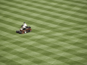 ride-on-mower-checkered-lawn-min