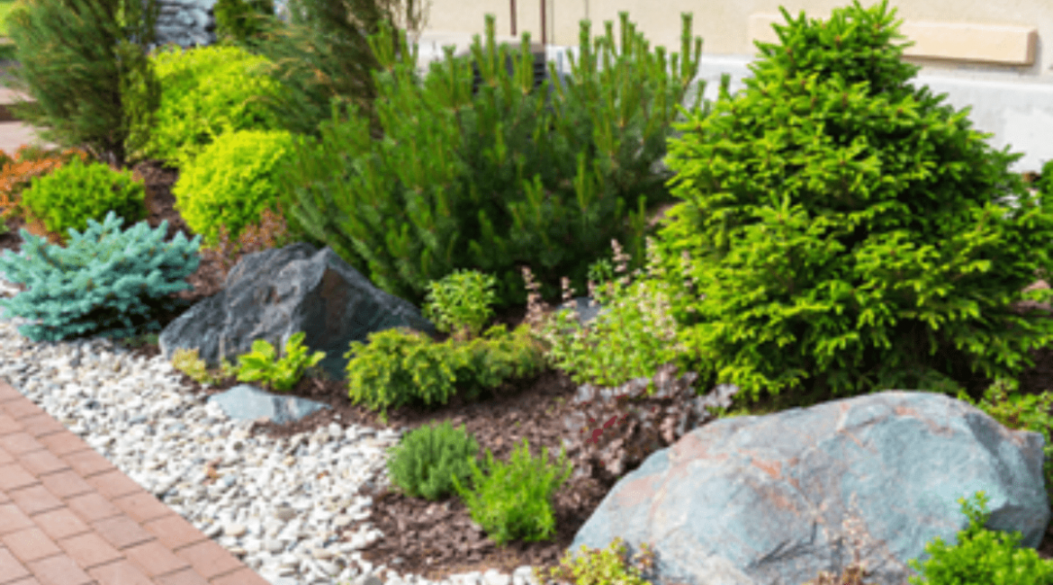 stihl-cape-town-landscaping-min