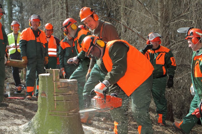 Stihl-Chainsaw-men-orange-jackets-min