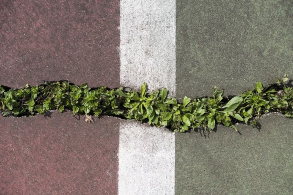 Concrete Mixers Cracked Concrete Repair, Causes, and Prevention