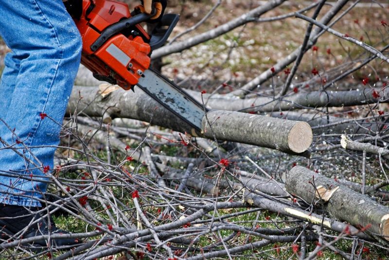 stihl-chainsaw-cutting-branches-min