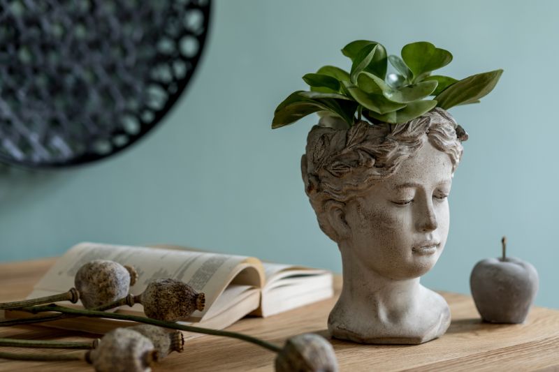 concrete-mixers-home-decor-with-houseplant-and-stylish-pot-176879319-min