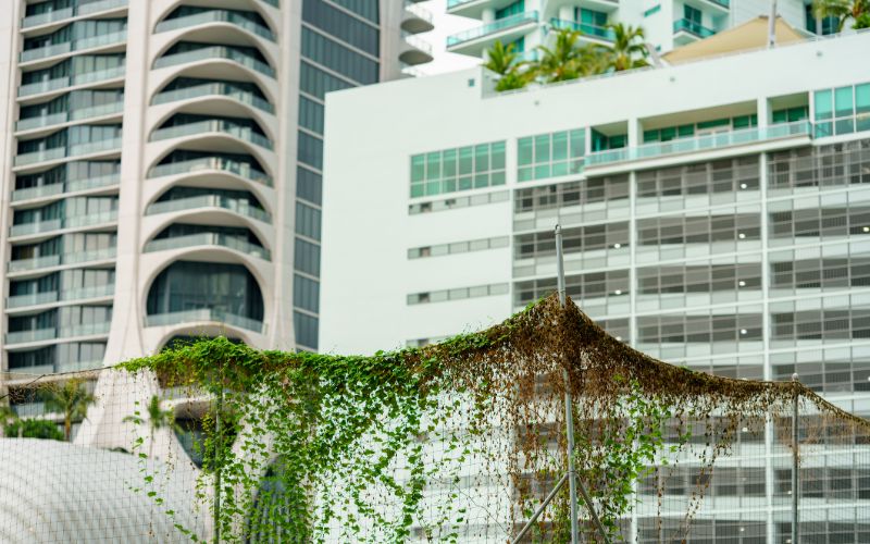 brushcutters-nature-vines-reclaiming-the-city-of-concrete-urban-jungle-min