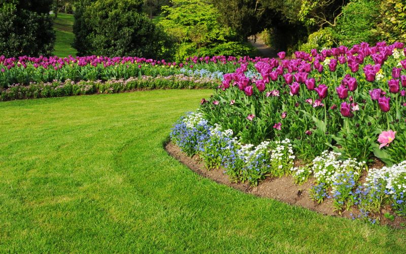 ride-on-mower-lawn-with-flowers-min