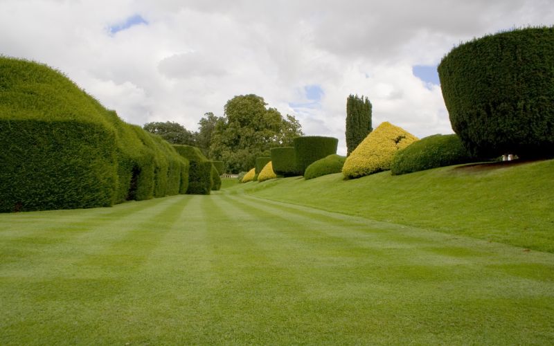 ride-on-mower-lawn-with-shaped-hedges-min