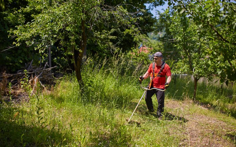 Brushcutters-man-mowing-his-lawn-min
