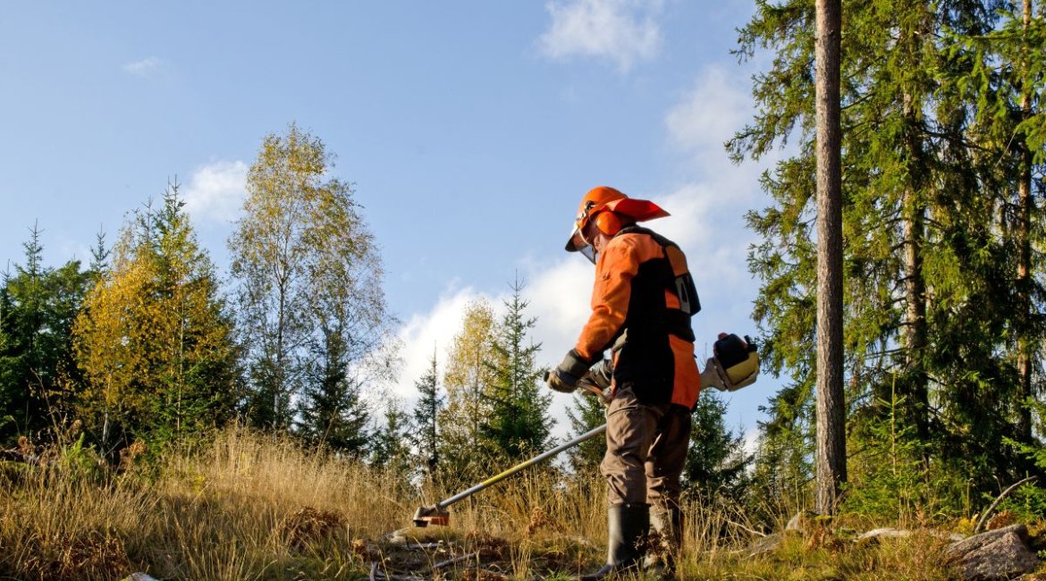 Brushcutters-worker-with-a-brush-cutter-min