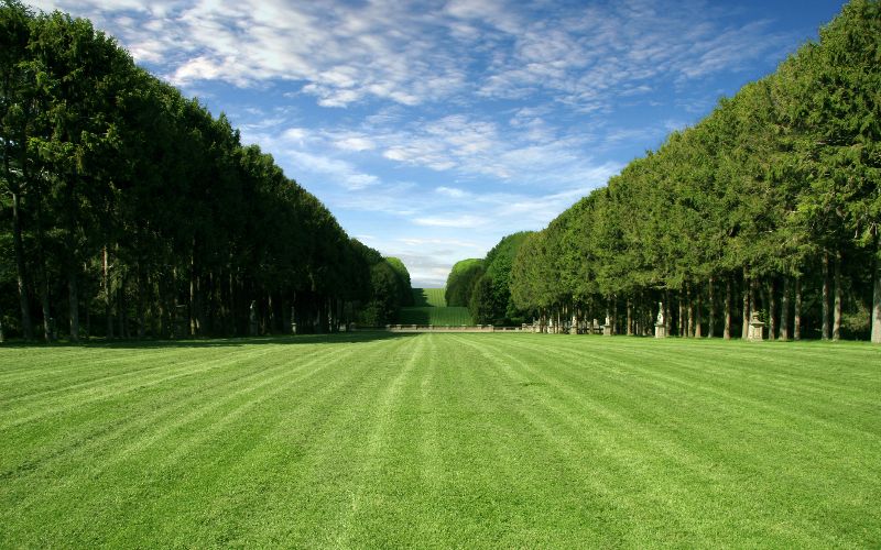 ride-on-mower -manicured-lawn-large-green-field-min