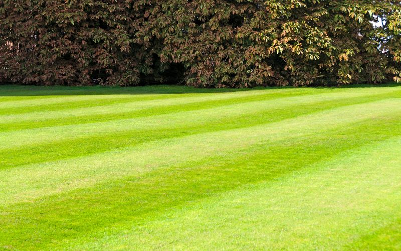 BS Power - Ride on mower-green-mowed-lawn-min