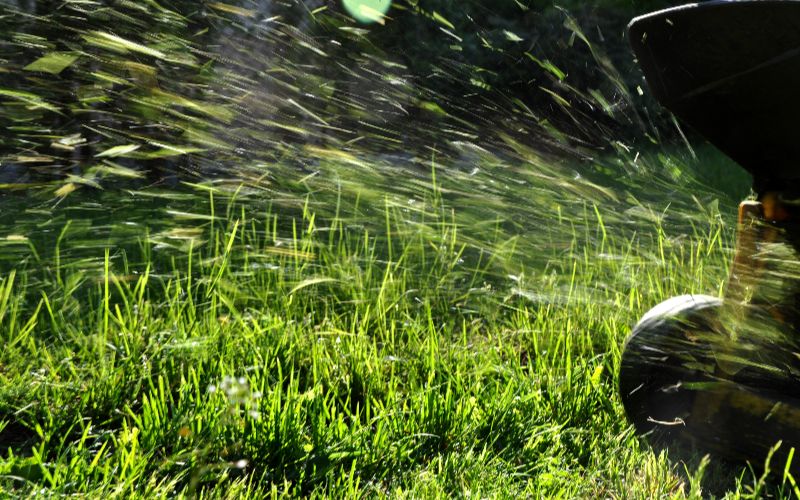 brushcutters-cutting-lawn-grass-min