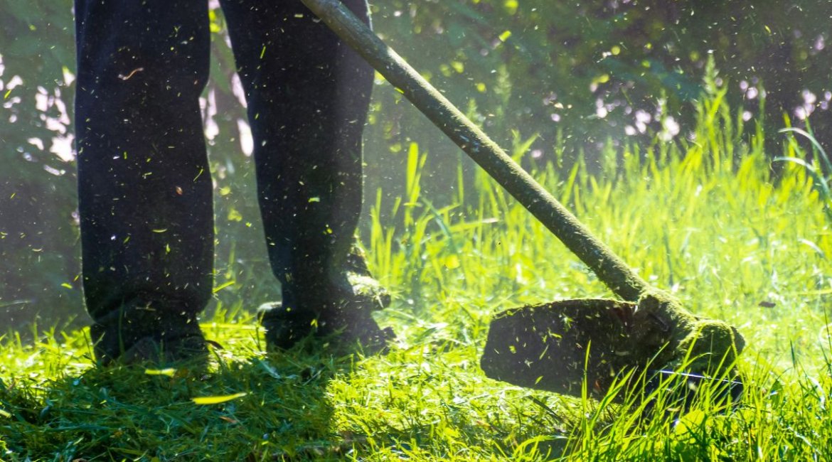 brushcutters-lawn-care-min