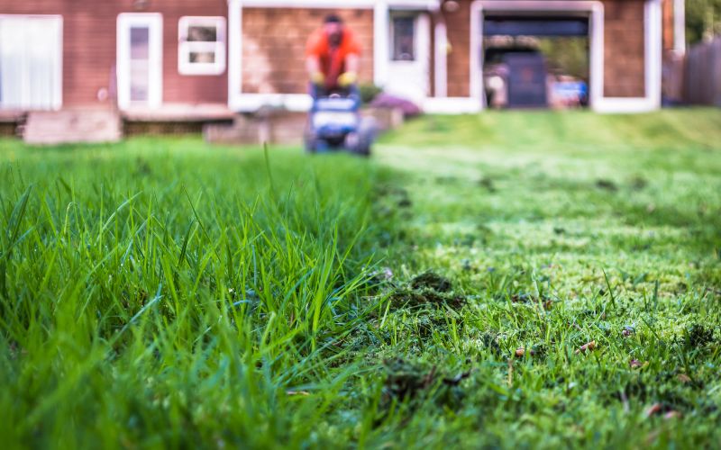 brushcutters-lawn-comparison-min