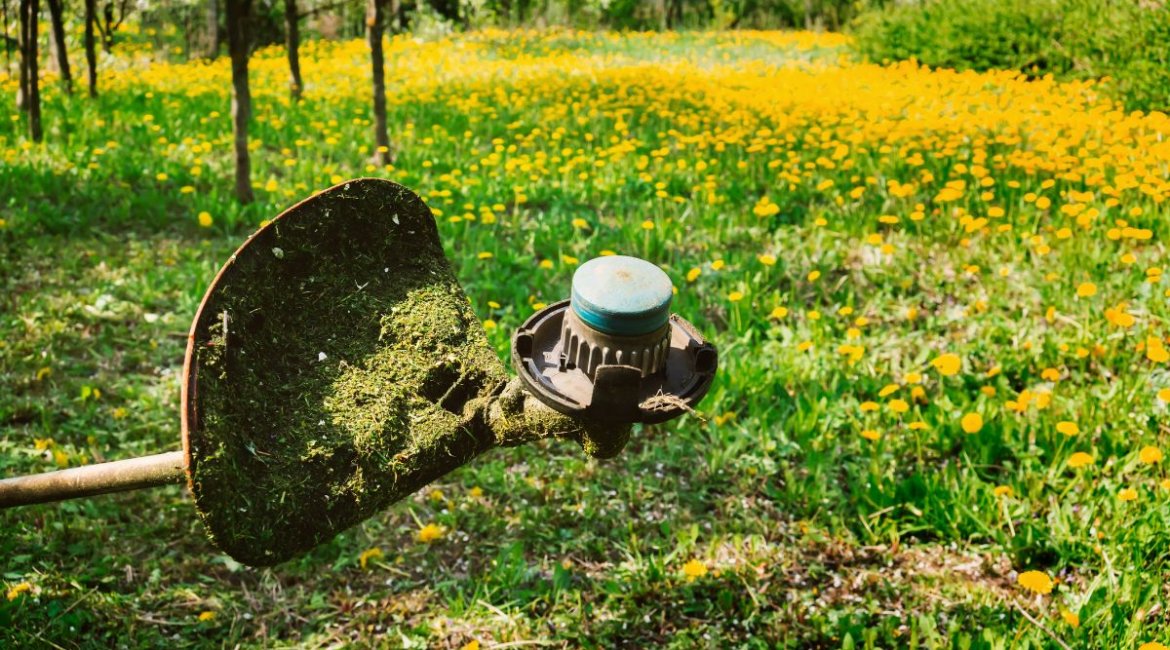 brushcutters-lawn-trimming-min