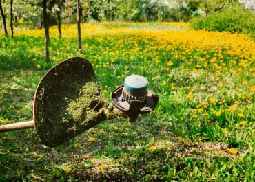 Battle The Bush In Your Backyard With BS Power Brushcutters