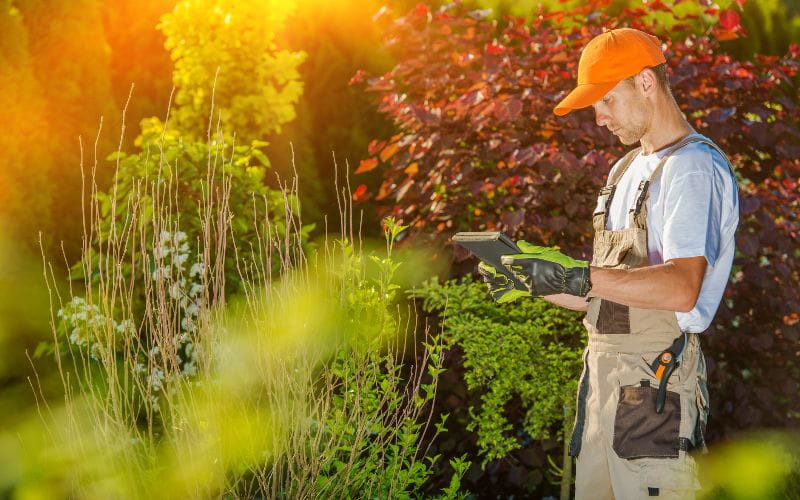 ride-on-mower-gardener-working-on-tablet (1)