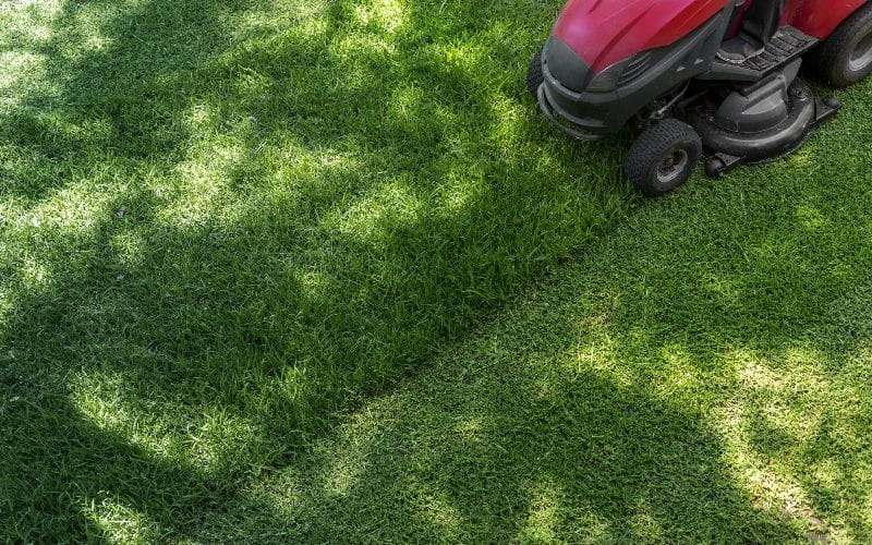 ride-on-mower-top-down-above-view-of-professional-lawn-mower-worker-cutting-fresh-green-grass-with-landcaping-tractor-equipment (1)