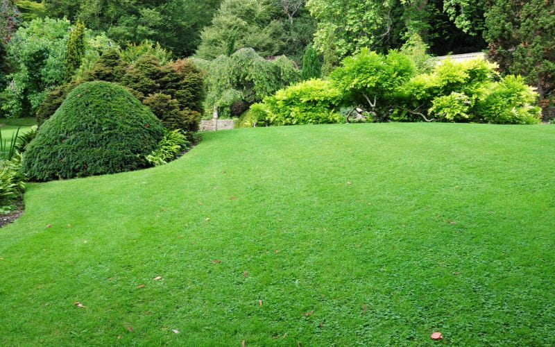 BS Power - ride on mower - garden-lawn-4608702975