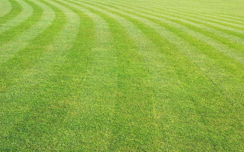 BS Power - Ride On Mower - neat lawn