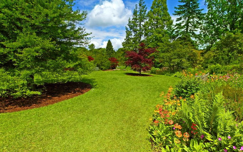 Brushcutters - garden-landscaping-srpingtime