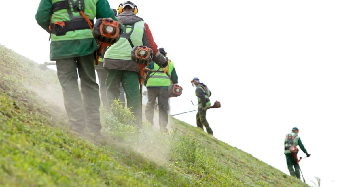 Brushcutters-professional-landscapers-cutting-grass-on-inclined-slope-with-string-trimmers
