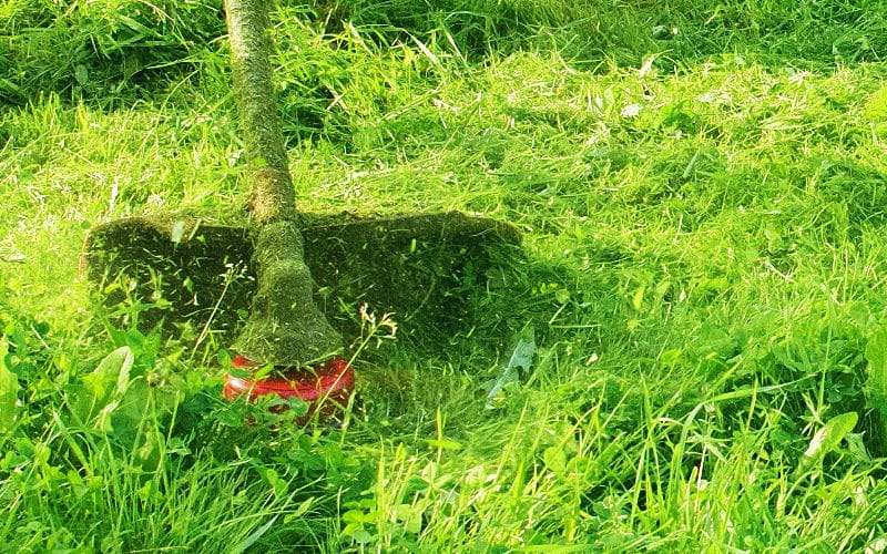 brushcutters-mowing-green-wild-grass-field-using-brush-cutter-mower-or-power-tool-string