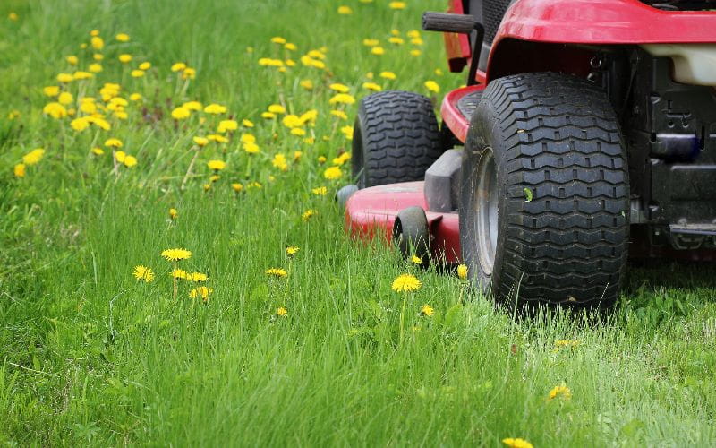 ride-on-mower-gardening-concept-background-gardener-cutting-the-long-grass-on-a-tractor-lawn-mower