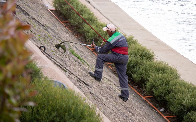 brushcutters-greenery-maintenance-worker-trimming-weed-on-slope-pavement-of-belgrade-waterfront-promenade (1)