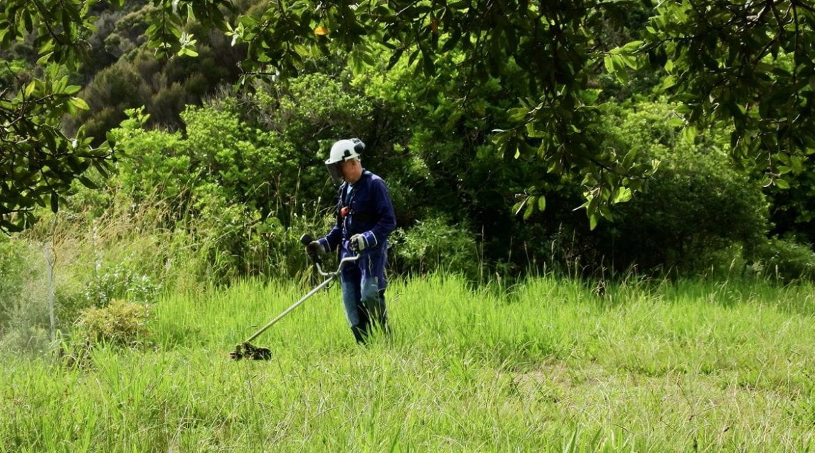 brushcutters-forester-cutting-weeds-with-a-brush-cutter
