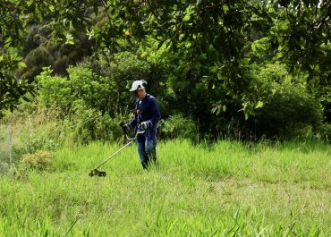 Brushcutters For Firebreak Creation In Rural And Overgrown Areas