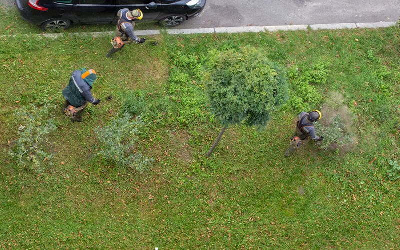 brushcutters-workers-mow-the-grass-with-a-gasoline-brushcutter