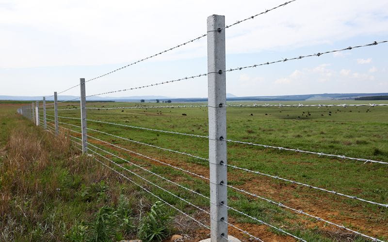 concrete-mixers-cattle-fence-on-farm (1)