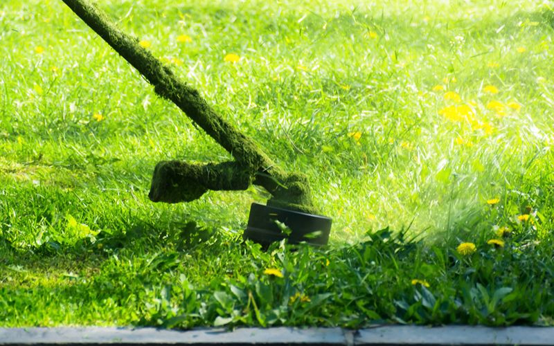 brushcutters-crazy-grass-cutting-in-the-park (1)