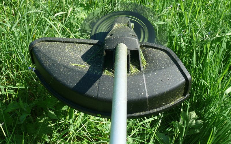 brushcutters-with-a-brush-cutter-in-use-10000 (1)