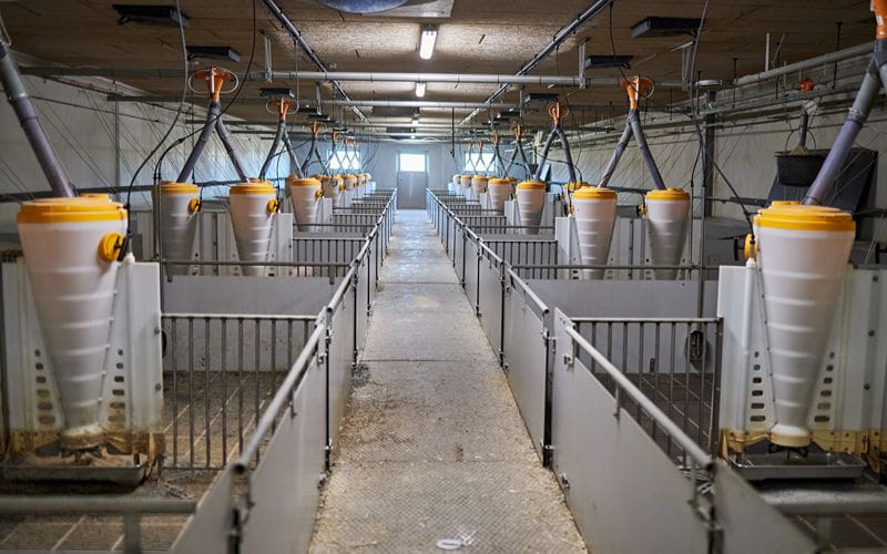 concrete-mixers-picture-of-clean-empty-pig-stall (1)