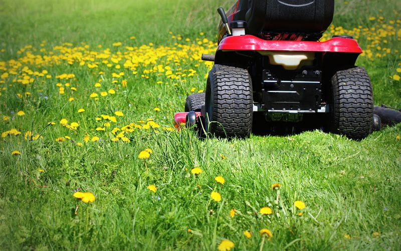 BS Power - Ride On Mower (1)