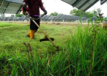 The Best Applications For Brushcutters Beyond Grass Cutting